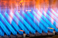 Waterperry gas fired boilers